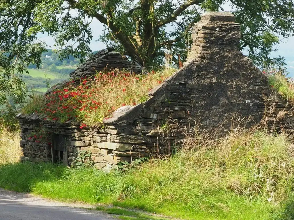 host farm in west cork, ireland